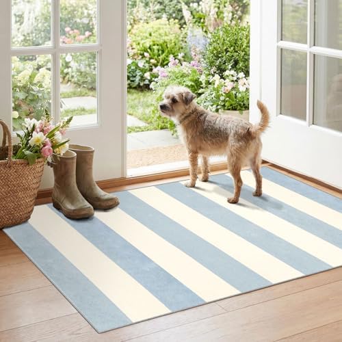 Blue White Striped Outdoor Rug - 28" x 43" Front Door Mat Indoor Outside Entrance Non-Slip Washable Summer Welcome Mat for Front Door Coastal Rug for Entryway Kitchen Bedroom Porch Decor by Othilic