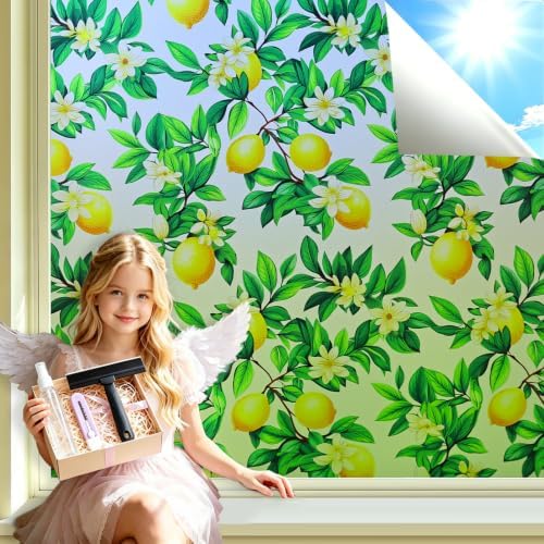 Upgraded Window Privacy Film Day & Night, Heat Blocking Anti-UV Save Energy by Gookiky