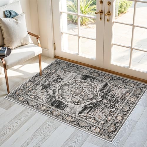 Washable Area Rugs 2x3 Entryway: Soft Ultra Thin Low Pile Mat Machine Washable Indoor Doormat Lightweight Entry Rug Anti Slip Backing Rugs for Living Room Bedroom Kitchen 2'x3' Black - Image 2