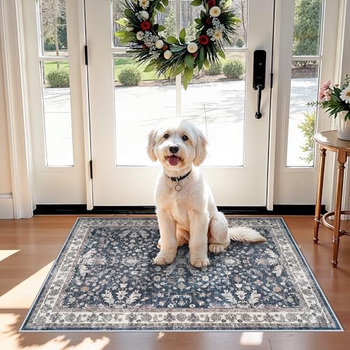 2x3 Non-Slip Washable Kitchen Rug - Boho Soft Small Area Rug for Sink, Entryway, Pet Area & Bathroom - Low Pile Thin Indoor Door Mat (Blue,2x3) by BYYVOORugsforYourHome