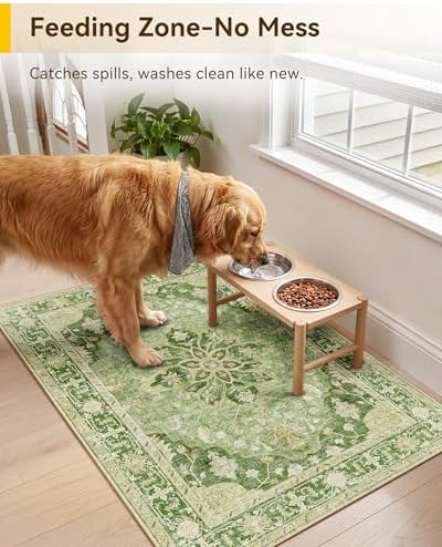 RELEANY Washable Area Rug, Small 2'x3', Green/Yellow - Image 4