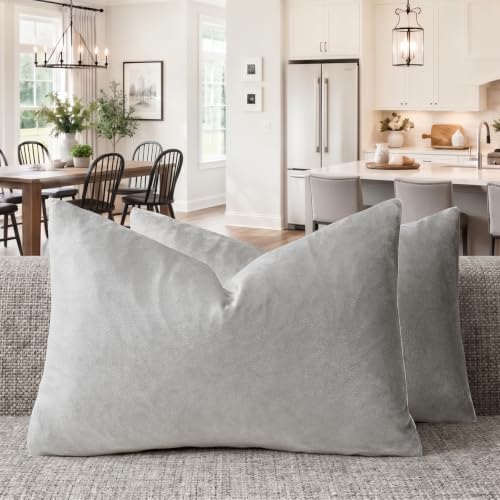 GIGIZAZA Silver Grey Velvet Throw Pillow Covers 12x20 Pack of 2 by GIGIZAZAFocusingonhomedecoration