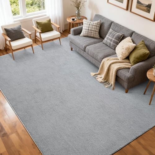 5x7 Pure Light Grey Area Rug Non-Slip Washable Soft for Living Room Bedroom by FinRe%CC%80cHome