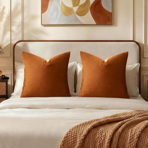 GIGIZAZA Burnt Orange Velvet Throw Pillow Covers Big 26x26 Pack of 2 by GIGIZAZAFocusingonhomedecoration