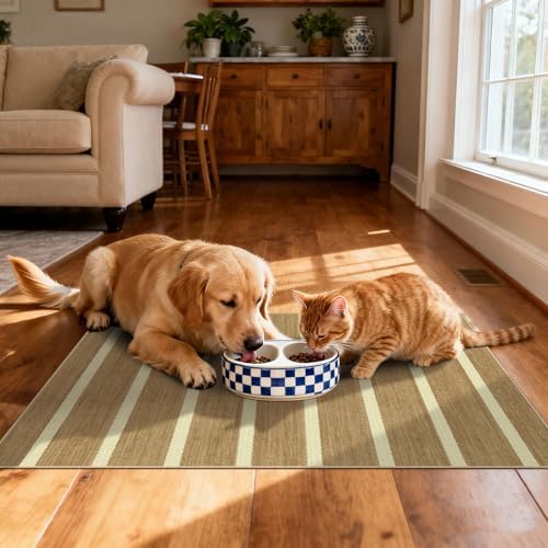 Indoor Front Door Mat, 2x3 Cottage Tan Beige Striped Front Door Rug - Image 5