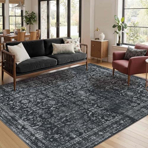 Rugxara Black 4x6 Area Rug Washable Rug for Living Room Bedroom Office by Rugxara