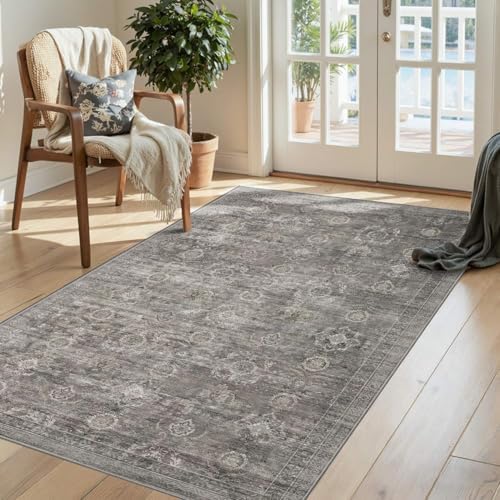 Rugxara 3x5 Rug for Entryway Bedroom Washable Area Rugs Carpet, Taupe/Grey by Rugxara