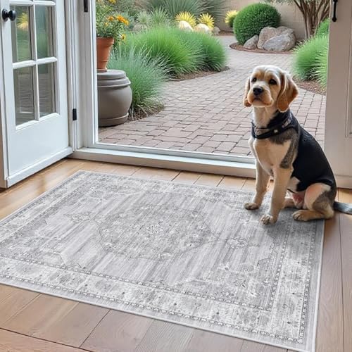 Washable Area Rugs 2x3 Entryway: Soft Ultra Thin Low Pile Mat Machine Washable Indoor Doormat Lightweight Entry Rug Anti Slip Backing Rugs for Living Room Bedroom Kitchen 2'x3' Grey by YOUFORTONG