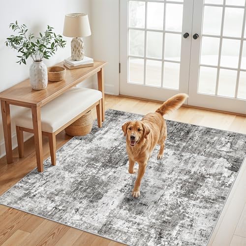 5x5 Square Entryway Rug Washable – Non-Slip Small Area Rug for Kitchen or Bathroom, Soft Low-Pile Indoor Mat, Modern Abstract Thin Door Carpet (Grey) by ZHXXUJ