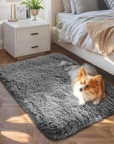 Ophanie 2x4 Small Rug Upgrade Non Slip Throw Bedside Area Rugs, Fluffy Soft Grey Mini Bedroom Carpet, Affordable Door Entryway Indoor Inside Front Entrance Dog Mat, Home Decor Aesthetic, Nursery by Ophanie