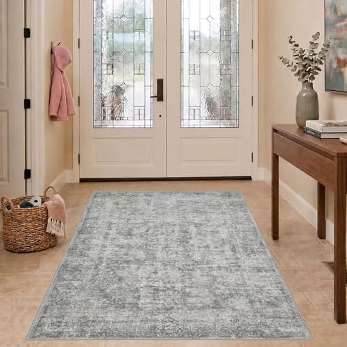 Rugxara 3x5 Rug for Entryway Bedroom Washable Area Rugs Carpet, Grey by Rugxara