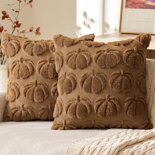 MIULEE Fall Pillow Covers Pumpkin Fall Decor 20x20 Brown by MIULEE