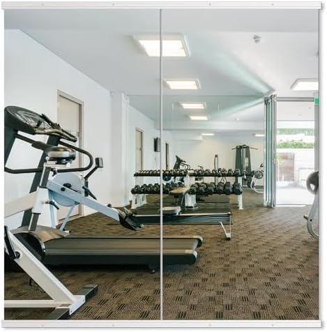Delma Home Gym Mirror, 50''x25''x2PCS White Wall Mounted Large Frameless Tempered Glass Wall Mirror for Home Gym, Garage, Bedroom, Bathroom by Delma