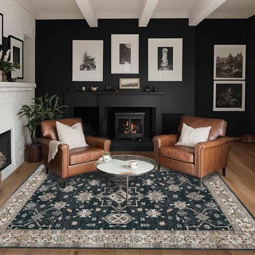 Rugxara Black Area Rugs 5x7 Washable Rug for Living Room Bedroom by Rugxara