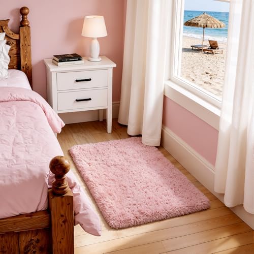 Ophanie Small Rug Washable Non Slip Throw Bedside Area Rugs, Fluffy Soft Pink Mini Bedroom Carpet, Affordable Door Entryway Indoor Inside Front Entrance Dog 2x3 Mat, Home Decor Aesthetic, Nursery by Ophanie