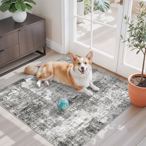 3x3 Square Entryway Rug Washable – Non-Slip Small Area Rug for Kitchen or Bathroom, Soft Low-Pile Indoor Mat, Modern Abstract Thin Door Carpet (Grey) by ZHXXUJ