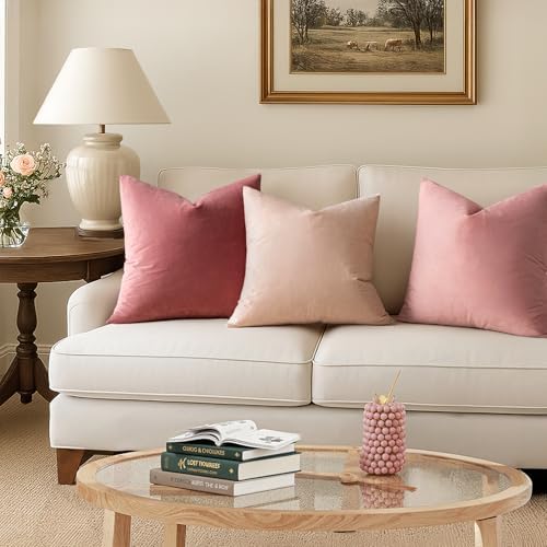 MIULEE 24x24 Inch Pack of 2 Euro Velvet Throw Pillow Covers Dusty Pink - Image 5
