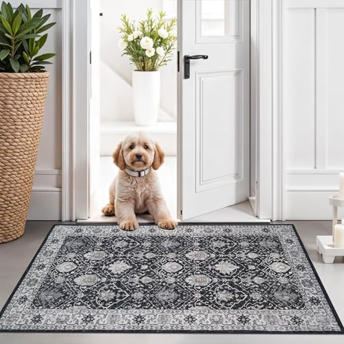Washable 2x3 Entryway Area Rug: Vintage Soft Thin Door Mat with Non Slip Backing Water Resistant Carpet for Bedroom Low Pile Floor Mat for Kitchen Bathroom Easy Clean Rug for Family (2 X 3, Black) by HYHAOYUNLAI