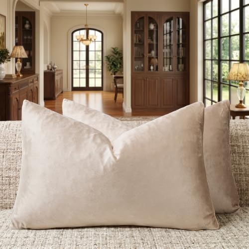 GIGIZAZA Velvet Pillow Covers 12x20 Decorative Pillows Pack of 2 Beige by GIGIZAZAFocusingonhomedecoration