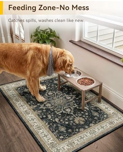 RELEANY Washable Area Rug, Small 2'x3', Black/Vintage/Beige - Image 3