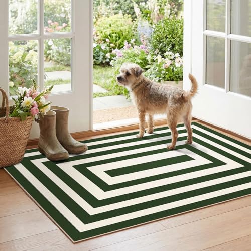 Modern Outdoor Rug - 28"x43" Front Door Mat Indoor Outside Entrance by Othilic