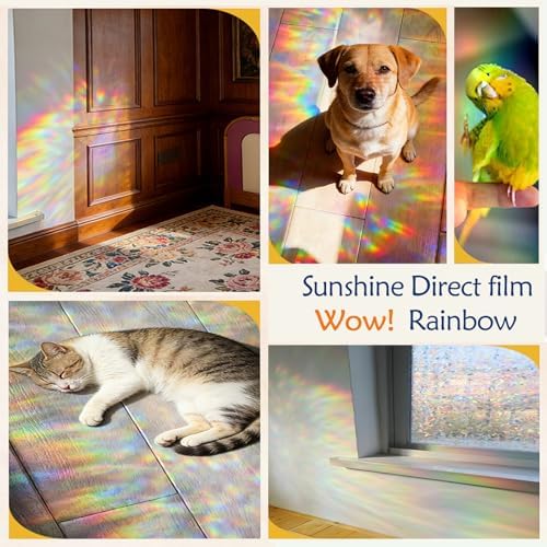 Window Privacy Film Window Coloring Rainbow Film - Image 3