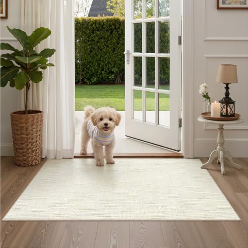 Valenrug 3x5 Rug, High-Low Pile Washable Entryway Rug for Bedroom Ivory by Valenrug