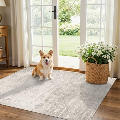 Washable 3x4 Kitchen Area Rugs: Abstract Stain-Resistant Sink Rug Non-Slip Durable Doormat Ultra Soft Bedroom Nursery Besides Carpets Indoor Water Resistant Bathroom Floor Mat(3x4,Beige/Cream) by HYHAOYUNLAI