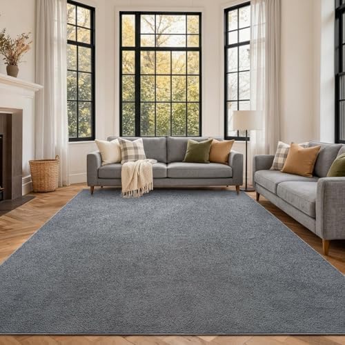 6x9 Large Pure Dark Grey Area Rug Non-Slip Washable for Living Room Bedroom by FinRe%CC%80cHome