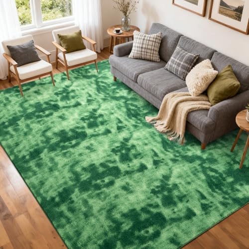 5x7 Tie-dye Green Area Rug Non-Slip Washable Soft for Living Room Bedroom by FinRe%CC%80cHome