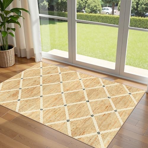 Cottage Trellis 3x5 Entryway Rug Indoor Outdoor Mats for Front Door by Othilic