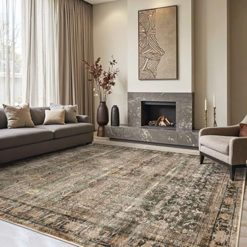Rugxara Brown 8x10 Area Rugs for Living Room Bedroom Large Washable Rug by Rugxara