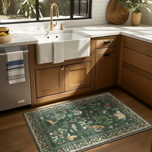 Machine Washable Throw Rugs for Entryway: Door Mat Indoor Entrance 2x3 Rug Small Area Rug Non-Slip Low Pile Soft Kitchen Rug for Front Door Indoor Entrance Entry Bedside Kids Room - Image 2