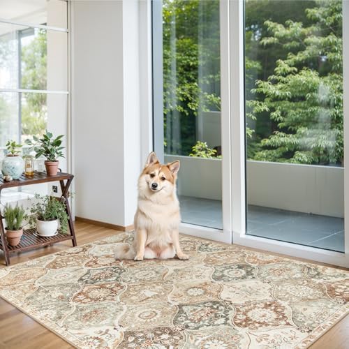 Lahome Moroccan Washable Small Rug, 3x5 Black Rugs for Bedroom Entryway - Image 5