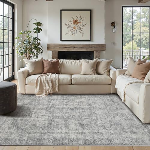 Rugxara Grey 4x6 Area Rug Washable Rug for Living Room Bedroom Office by Rugxara