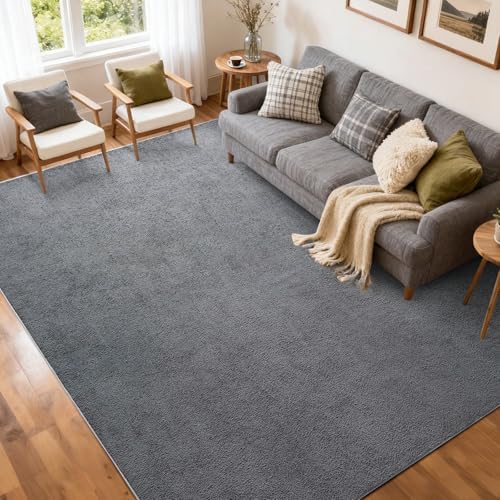 5x7 Pure Dark Grey Area Rug Non-Slip Washable Soft for Living Room Bedroom by FinRe%CC%80cHome