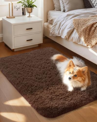Ophanie Small Rug Washable Non Slip Throw Bedside Area Rugs, Fluffy Soft Brown Mini Bedroom Carpet, Affordable Door Entryway Indoor Inside Front Entrance Dog 2x3 Mat, Home Decor Aesthetic, Nursery by Ophanie