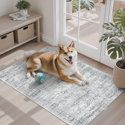 Soalmost 2x3 Washable Rugs for Kitchen, Entryway, Small Area Rug Grey by Soalmost