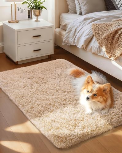 Ophanie Small Rug Washable Non Slip Throw Bedside Area Rugs, Fluffy Soft Beige Mini Bedroom Carpet, Affordable Door Entryway Indoor Inside Front Entrance Dog 2x3 Mat, Home Decor Aesthetic, Nursery by Ophanie