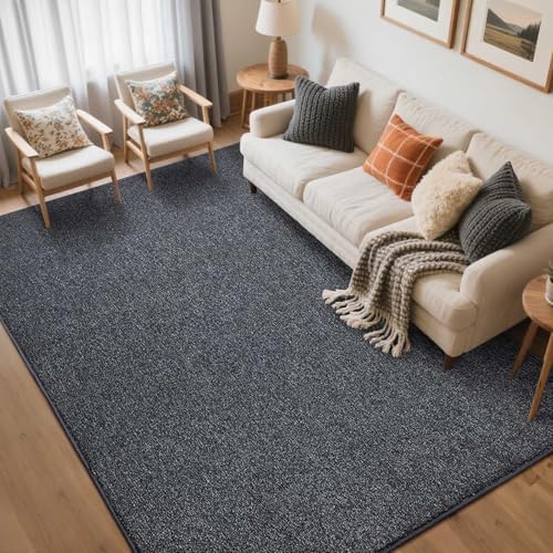 5x7 Grey Area Rug Non-Slip Washable Soft Thin for Living Room Bedroom by FinRe%CC%80cHome