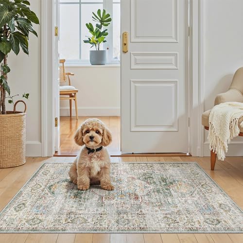 Madane Washable Area Rug 2x3 Small Entryway Rugs Non-Slip, Green by Madane