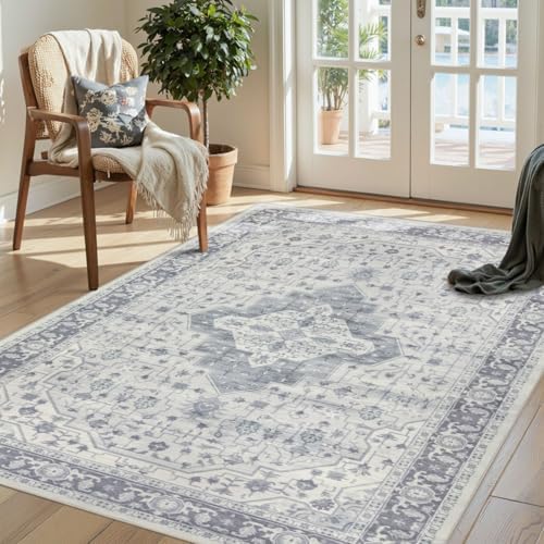 Rugxara 3x5 Entryway Rug,Grey Vintage Boho Bedroom Area Rug by Rugxara