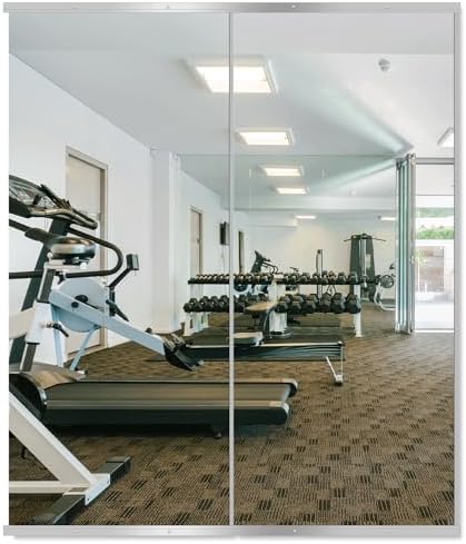 Delma Home Gym Mirror, 60''x25''x2PCS Silver by Delma