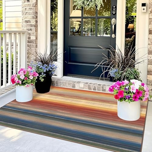 3x5 Ombre Entry Rug - Washable Indoor Outdoor Mats for Front Door - Image 3
