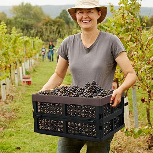 Kekow 15 L Black Plastic Collapsible Storage Basket, Folding Crates Storage, Set of 3 - Image 7