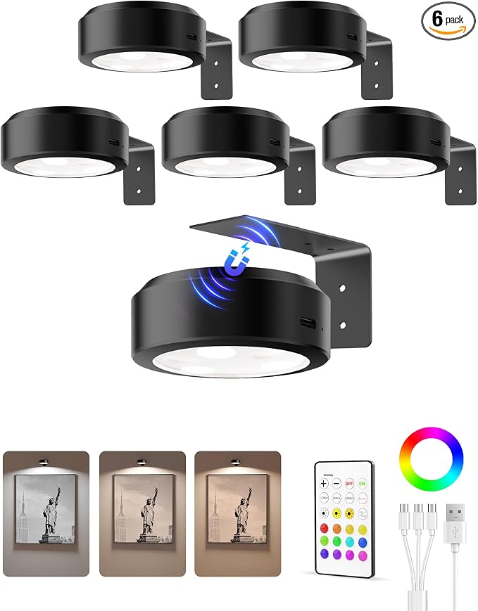 EZVALO Picture Lights for Wall, 2000mAh Rechargeable Battery Magnetic Poster Lights with 3 Color Temps & 12 RGB, Remote Dimmable Timer Painting Light, Wall Decor Light for Art Display, Frame (6 Pack) by EZVALO