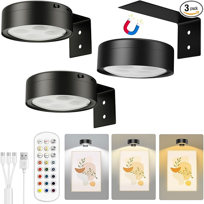 Xuolder Picture Lights for Wall,2000mAh Rechargeable Battery Poster Lights LED Magnetic Painting Light with Remote Control,3 Color Temps&12 RGB Timer Dimmable Wall Light for Art Display Wall Decor by Xuolder
