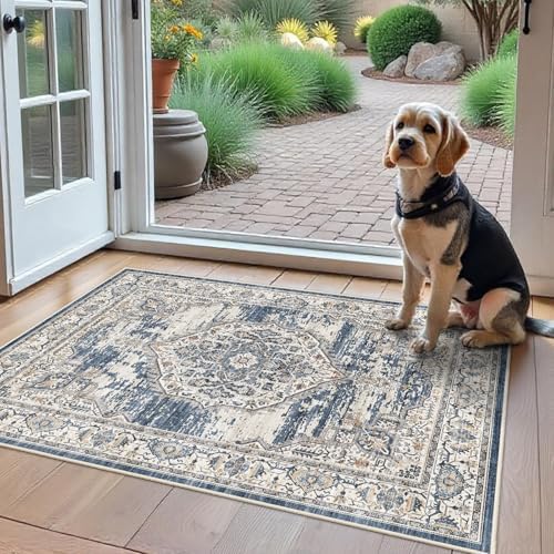 Washable Area Rugs 2x3 Entryway: Soft Ultra Thin Low Pile Mat Machine Washable Indoor Doormat Lightweight Entry Rug Anti Slip Backing Rugs for Living Room Bedroom Kitchen 2'x3' Blue by YOUFORTONG