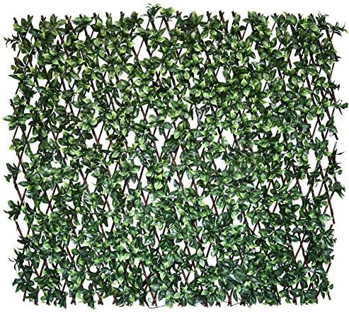 Expandable Fence Privacy Screen for Balcony Patio Outdoor,Decorative Faux Ivy Fencing Panel,Artificial Hedges (Single Sided Leaves)…7 by Unknown