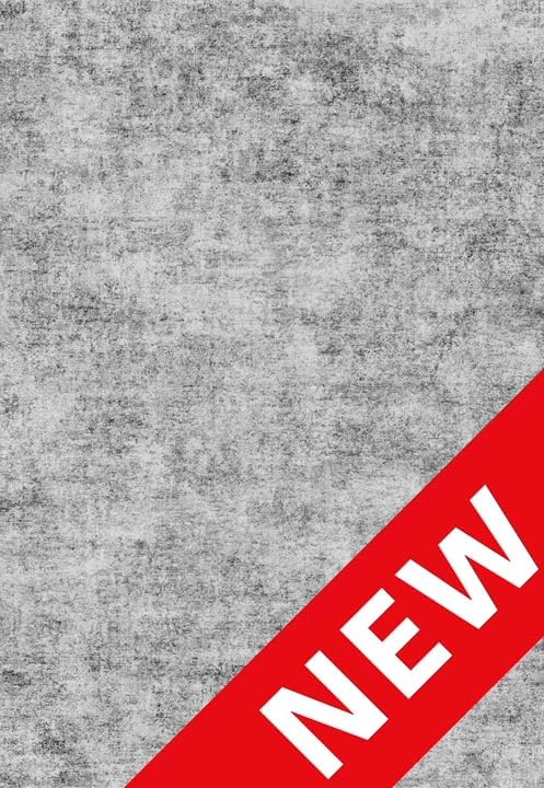 Living Room Area Rug 3x5 - Modern Abstract Washable Bedroom Rugs with Non Slip Rubber Backing Indoor Low Pile Carpet for Office Nursery Soft Ultra Thin Home Decor Floor Mat for Bathroom 3x5 Grey - Image 2